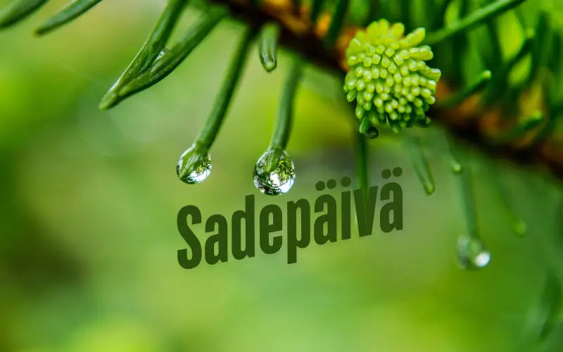 Sade mikä ihana tekosyy peli-illalle!